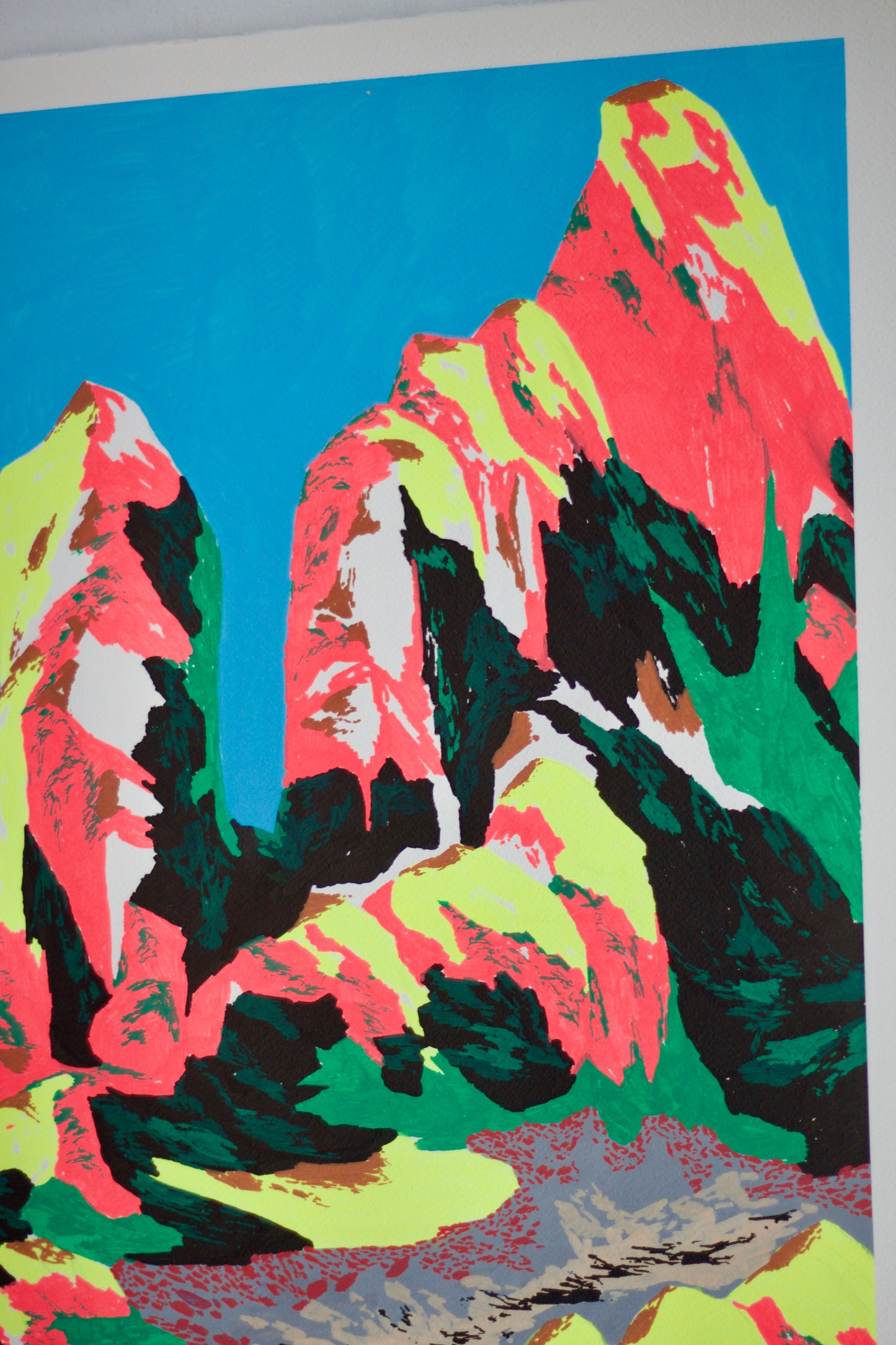 Cradle Mountain Auction